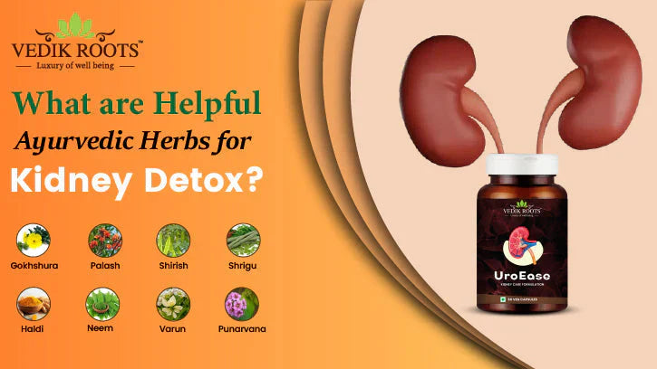 What are Helpful Ayurvedic Herbs for Kidney Detox?