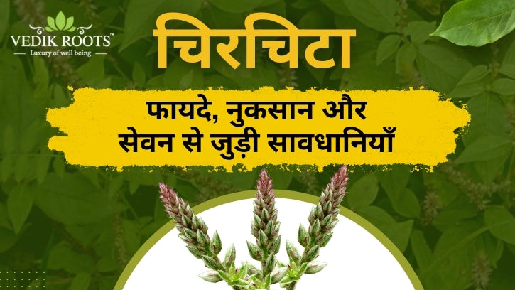 चिरचिटा के दुष्प्रभाव, Benefits of chirchita , Chirchita plant