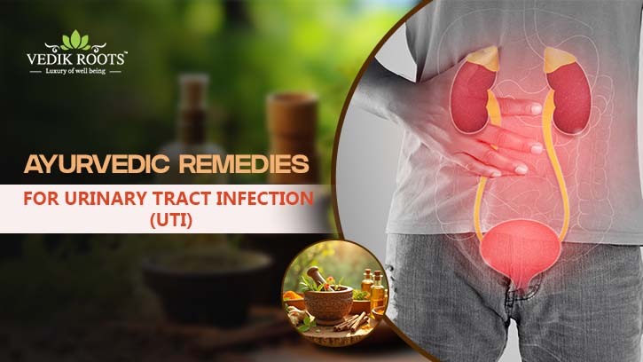 Ayurvedic remedies for UTI with kidney and bladder illustration.