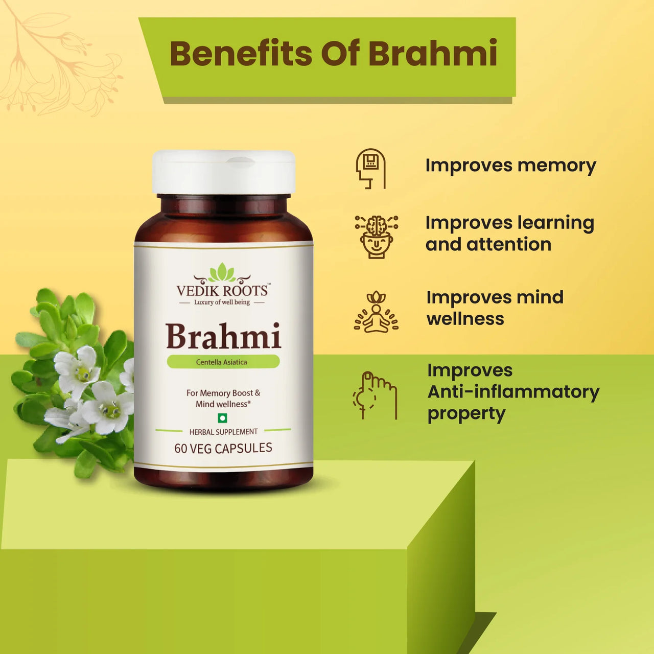 4 Major Benefits of Brahmi | Vedikroots Ayurveda