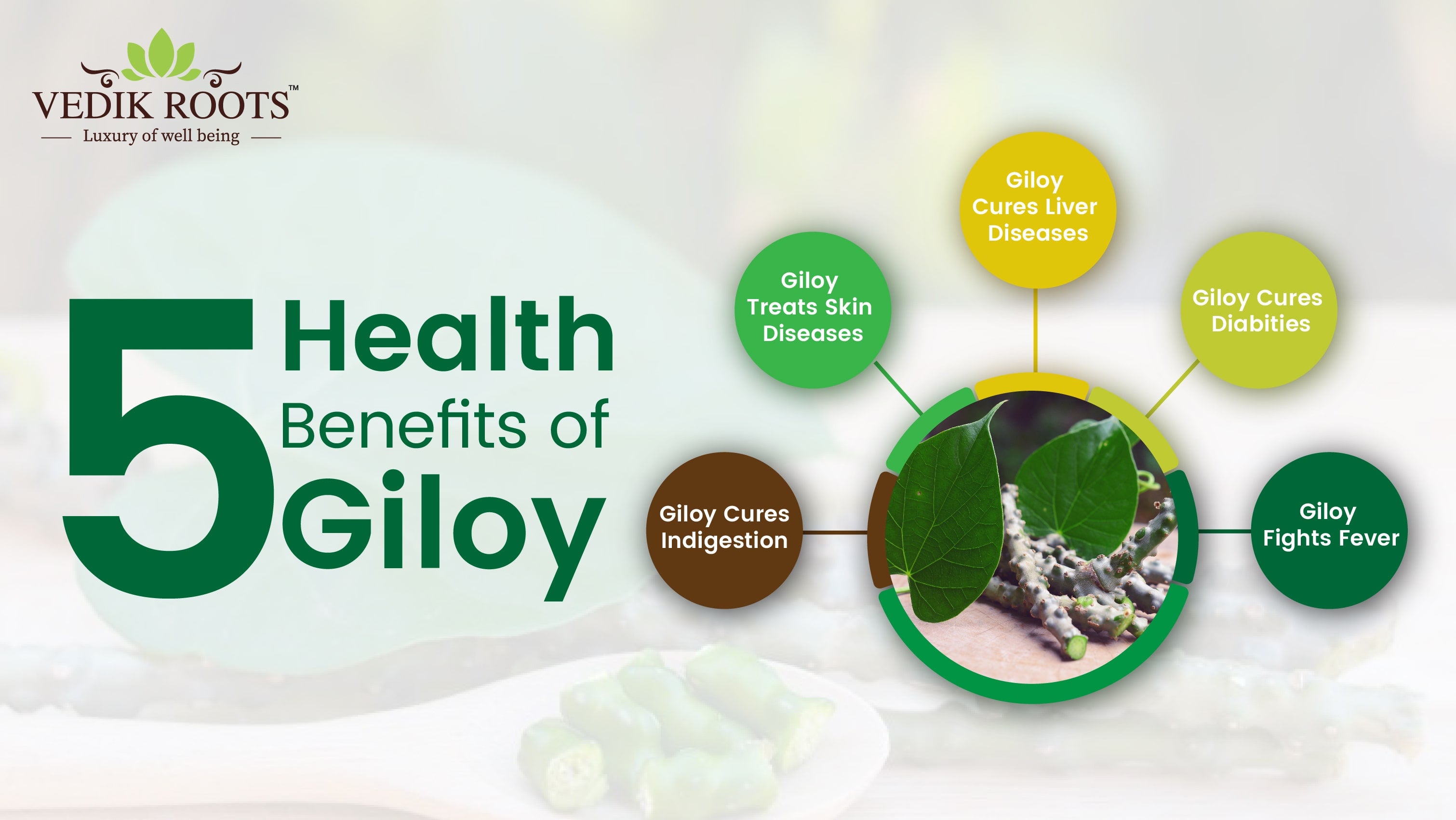 5 Health Benefits of Giloy – The topmost Immunity Booster