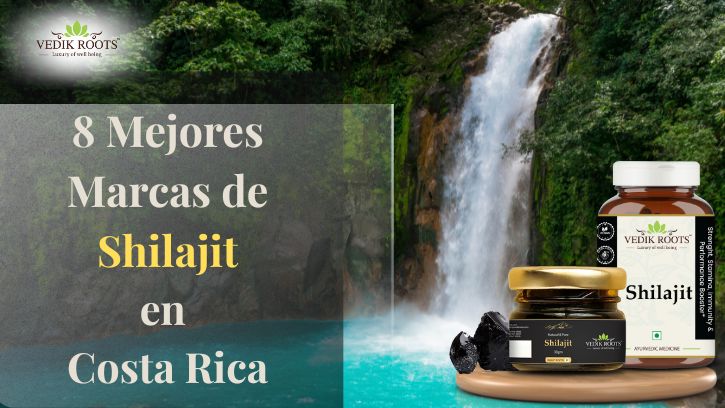 8 Mejores Marcas de Shilajit en Costa Rica