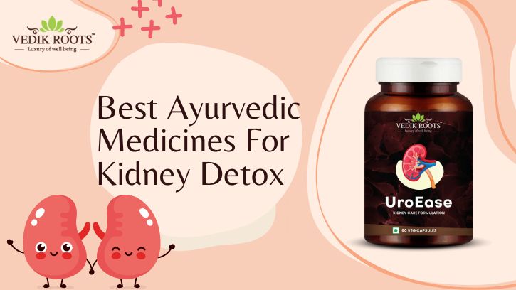 Best Ayurvedic Medicines for Kidney Detox