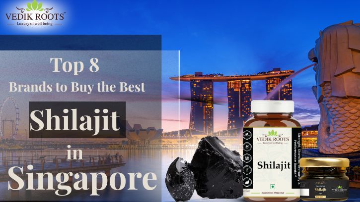 Top 8 Brands to Buy Shilajit in Singapore
