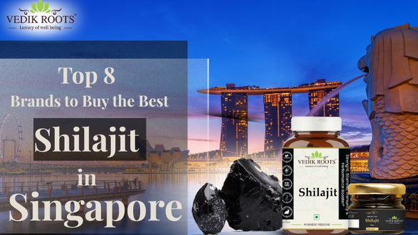 Top 8 Brands to Buy Shilajit in Singapore