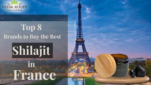 8 Best Shilajit Brands to Buy in France
