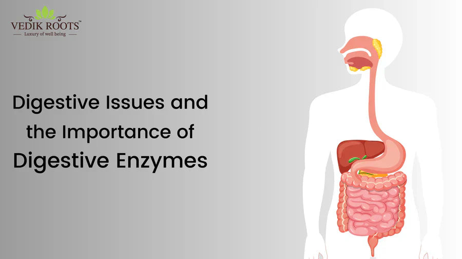 Digestive Issues and the Importance of Digestive Enzymes