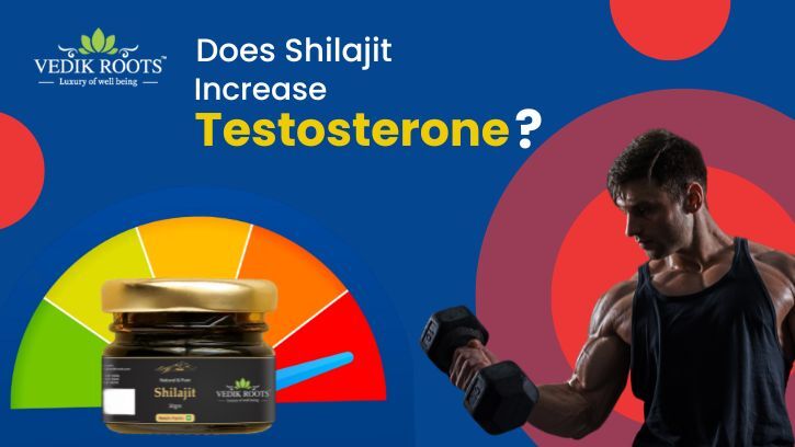 Does Shilajit Increase Testosterone? Explore the Facts!