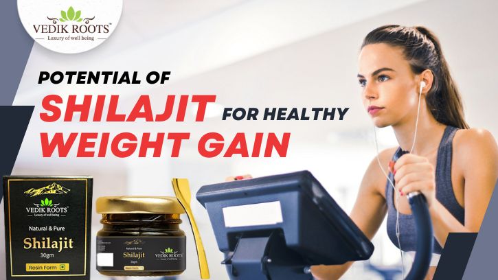 Potential of Shilajit for Healthy Weight Gain