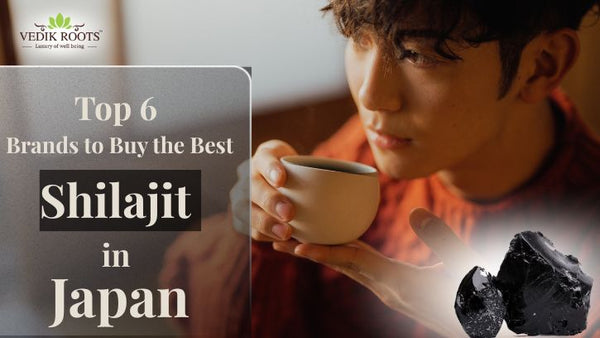 Top 6 Brands to Buy the Best Shilajit in Japan