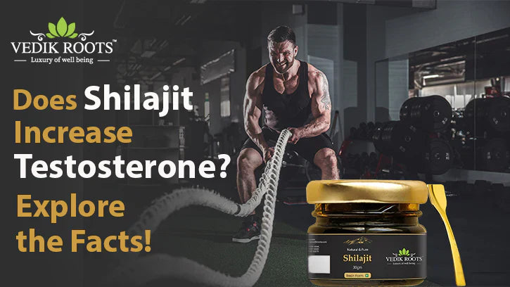 How does Shilajit help increase Testosterone?