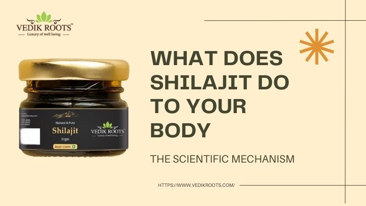 what does shilajit do to your body
