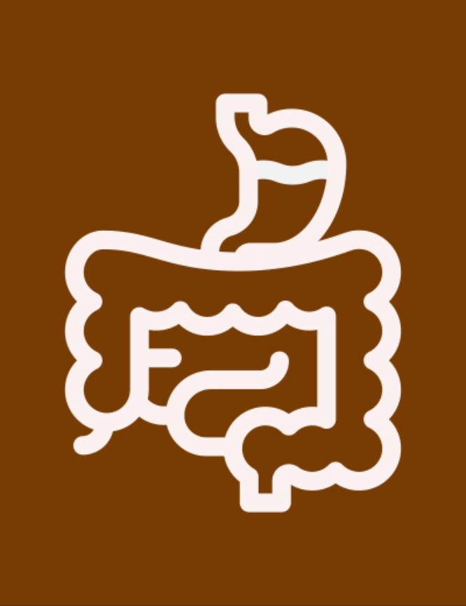 Buy Ayurvedic Digestive Tablets Online -Vedikroots