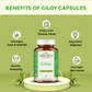 Giloy Benefits