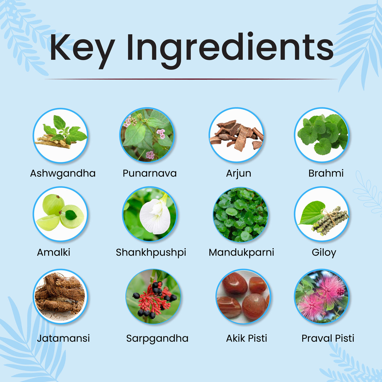 Ingredients in Hypocure Capsules | Vedikroots