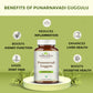 punarnava benefits
