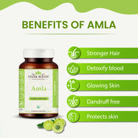 Thumbnail for Amla Capsules - Immunity booster, Vitamin C, Healthy skin and hair