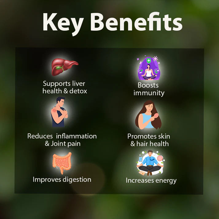 benefits of moringa powder