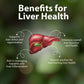 Heathy Liver