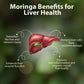 moringa benefits of liver health