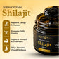 Natural and pure shilajit