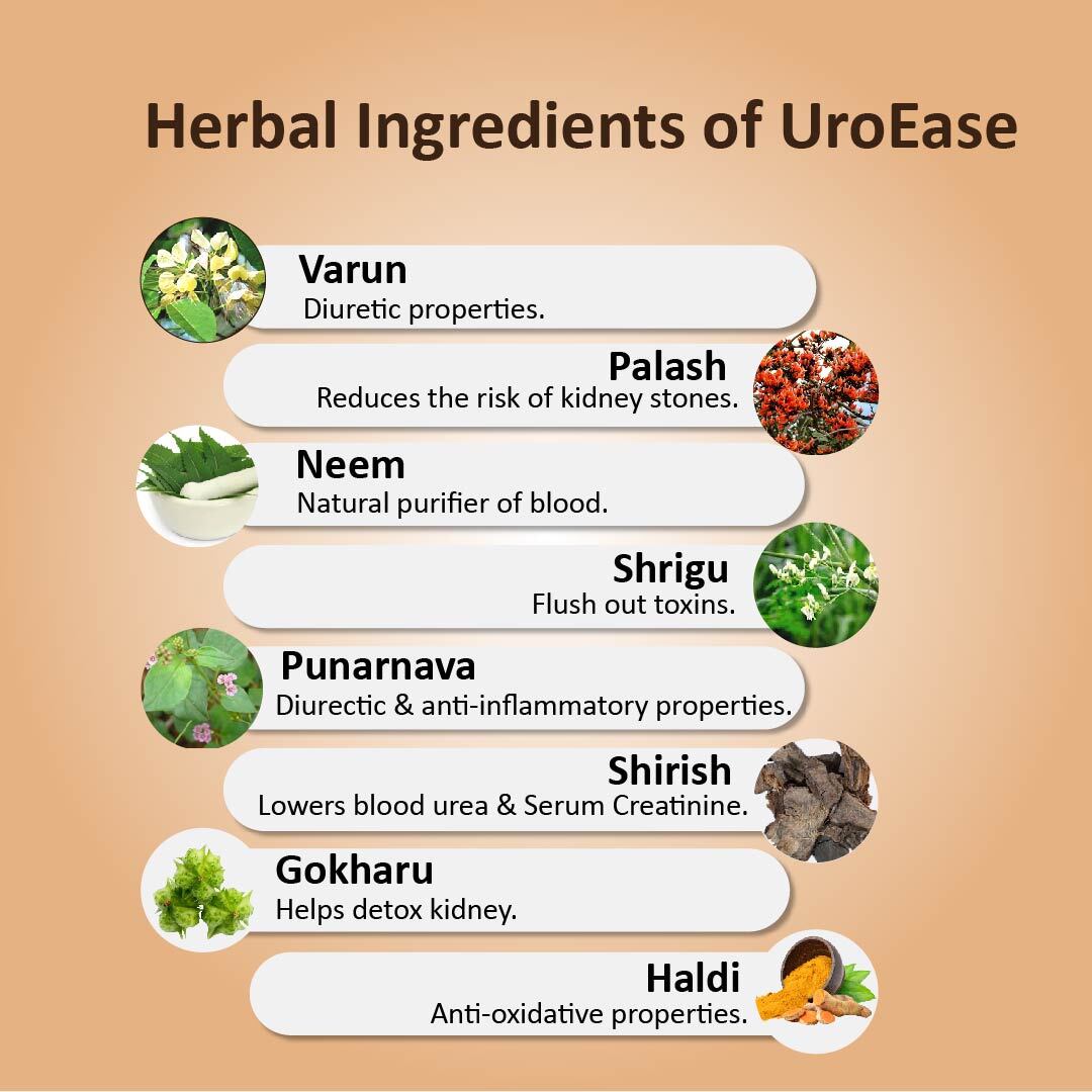 UroEase | Ayurvedic Herbal Supplement For Kidney Health