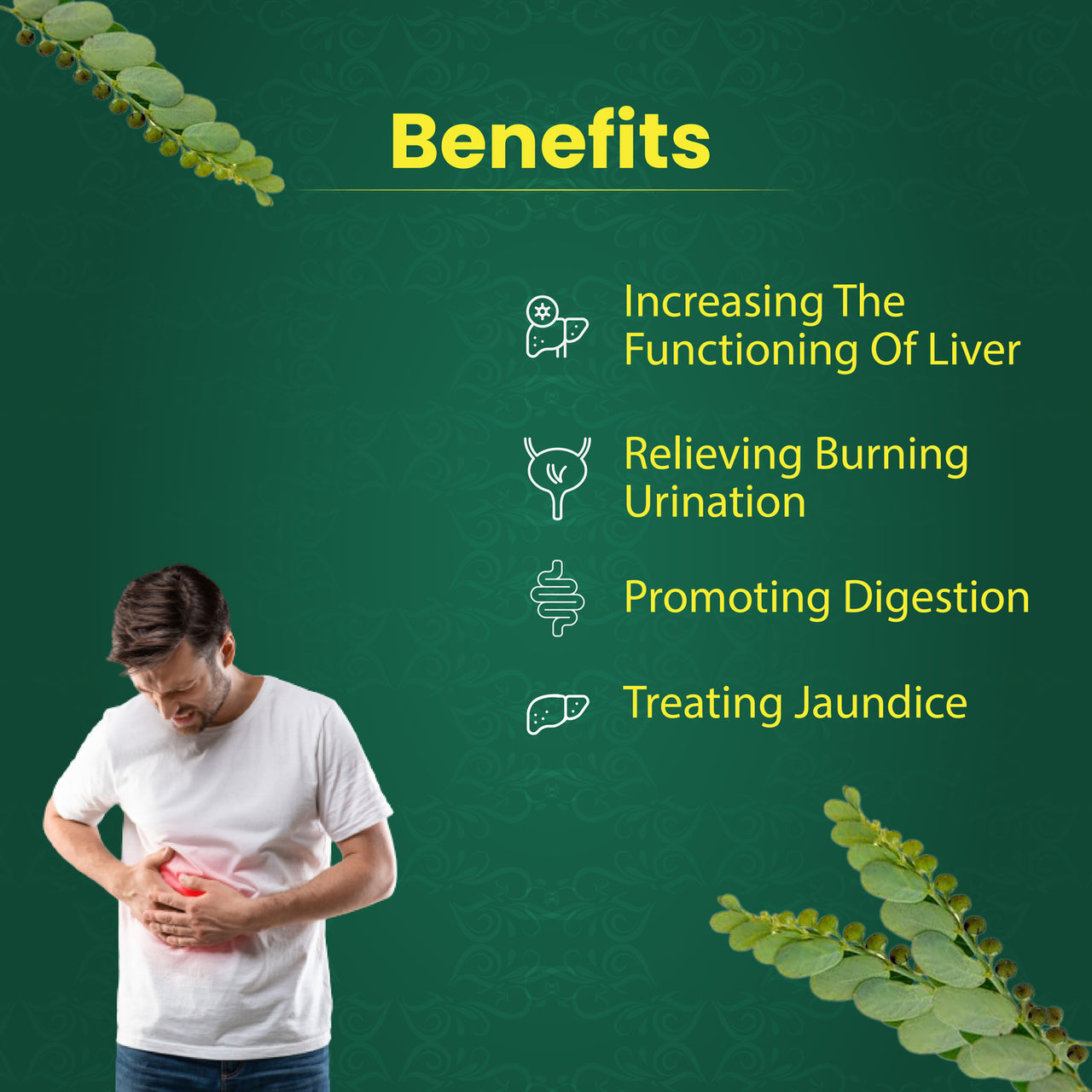 What are the health benefits of Bhumi Amla powder?