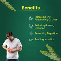 Thumbnail for What are the health benefits of Bhumi Amla powder?