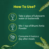 Thumbnail for Water vs. Milk: Best Way to Consume Bhumi Amla Powder | Veedikroots Ayurveda