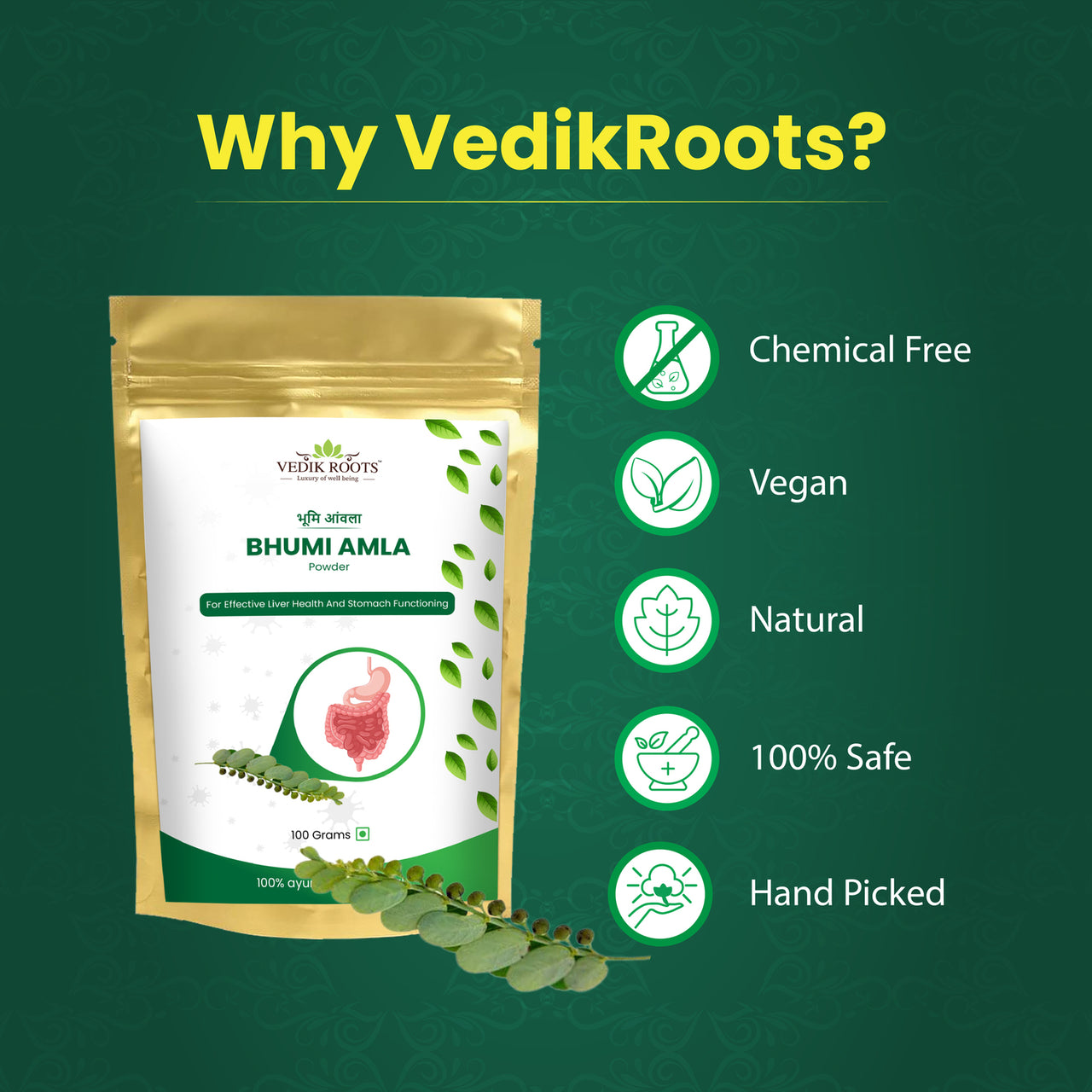 Bhumi Amla Powder : Vegan , Natural , 100% Safe , Hand Picked , Chemical Free | Vedikroots Ayurveda