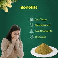 Thumbnail for 100% Pure Talisadi Powder – An Ayurvedic Secret To Treat Dry Cough And Cold!!(100 GM)
