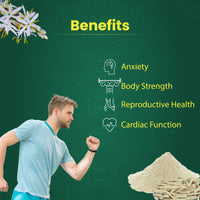Thumbnail for What are the Benefits of Safed Musli Powder | Vedikroots Ayurveda